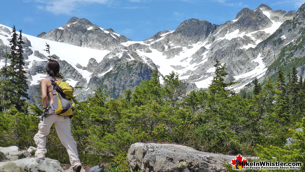 Brandywine Meadows Hike in Whistler