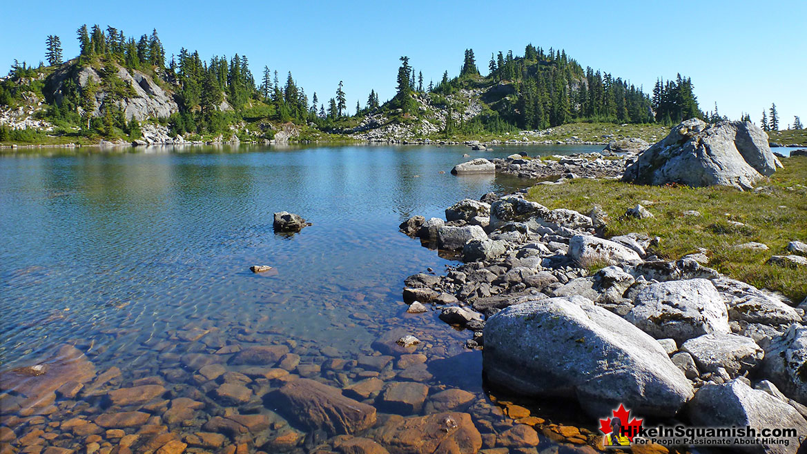 Brew Lake Hike in Squamish