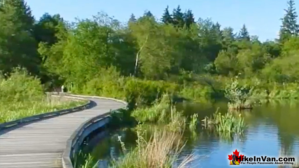 Burnaby Lake Hike in Vancouver
