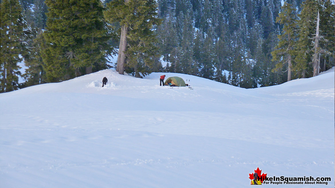 Elfin Lakes Tent