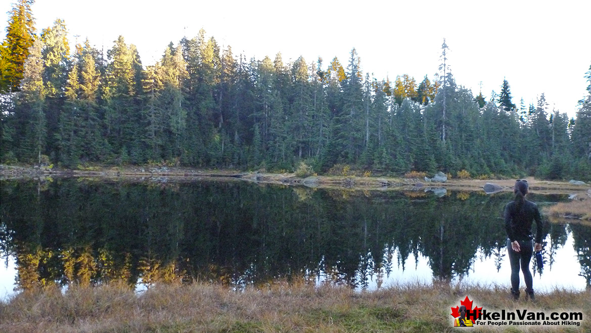 Goldie Lake Hike in Vancouver