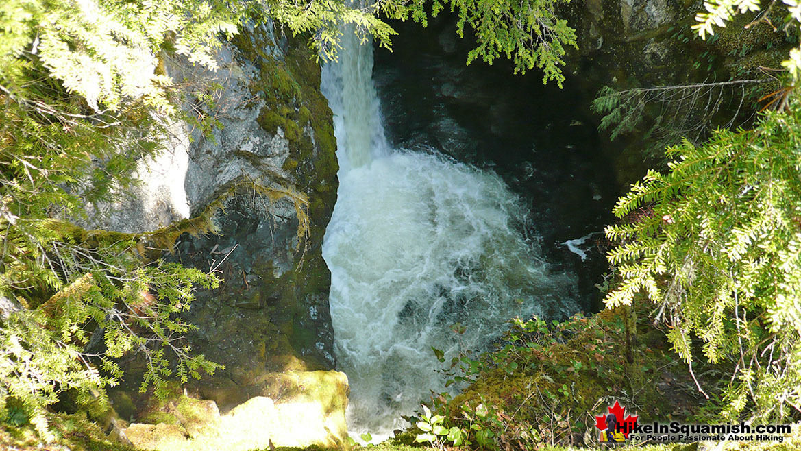 High Falls Trail Hike in Squamish