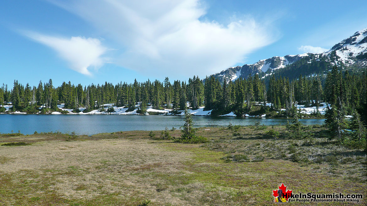 Conflict Lake on the trail to Ring Lake