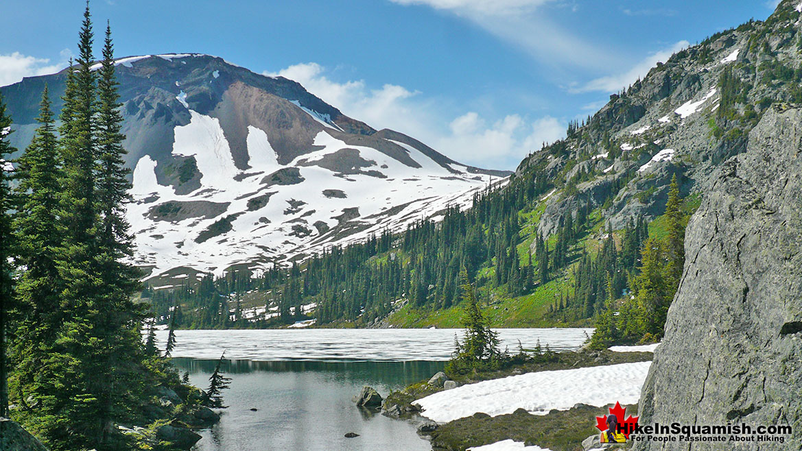 Ring Lake View