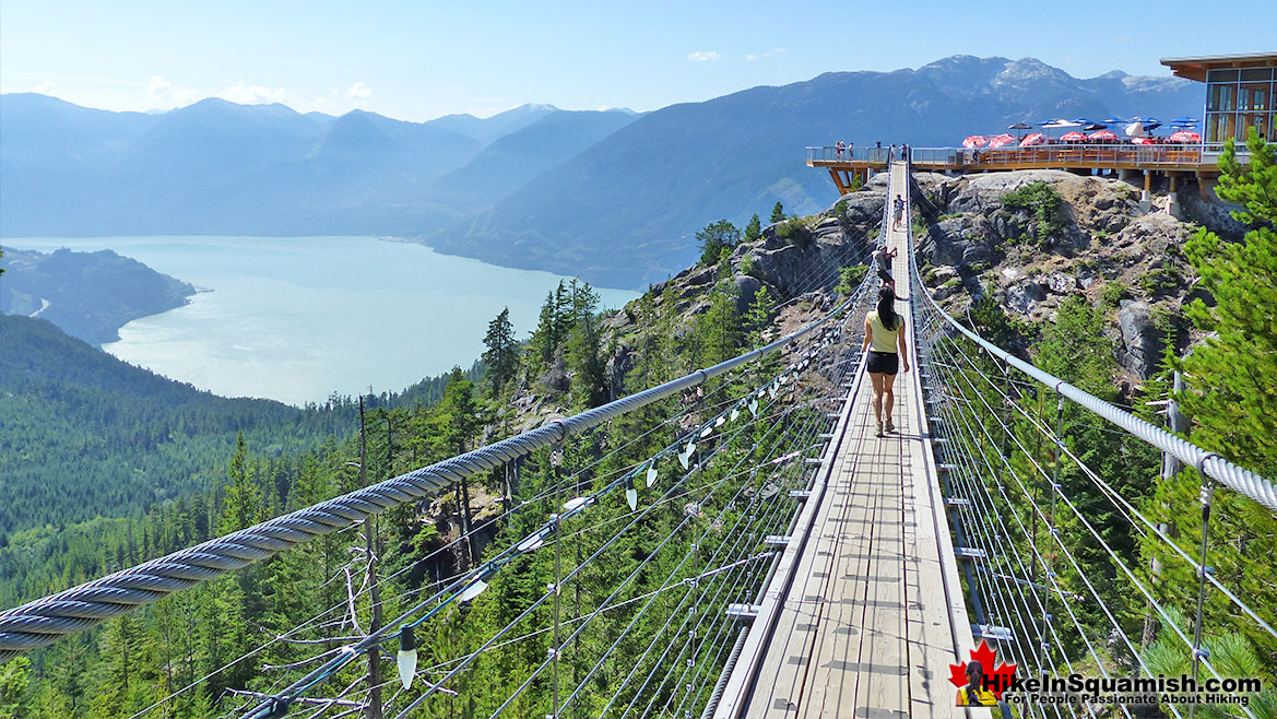 Sky Pilot Suspension Bridge