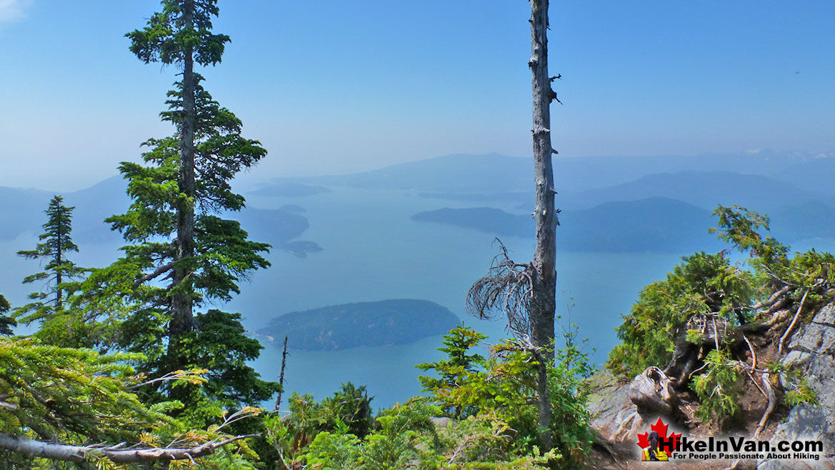 St Mark's Summit