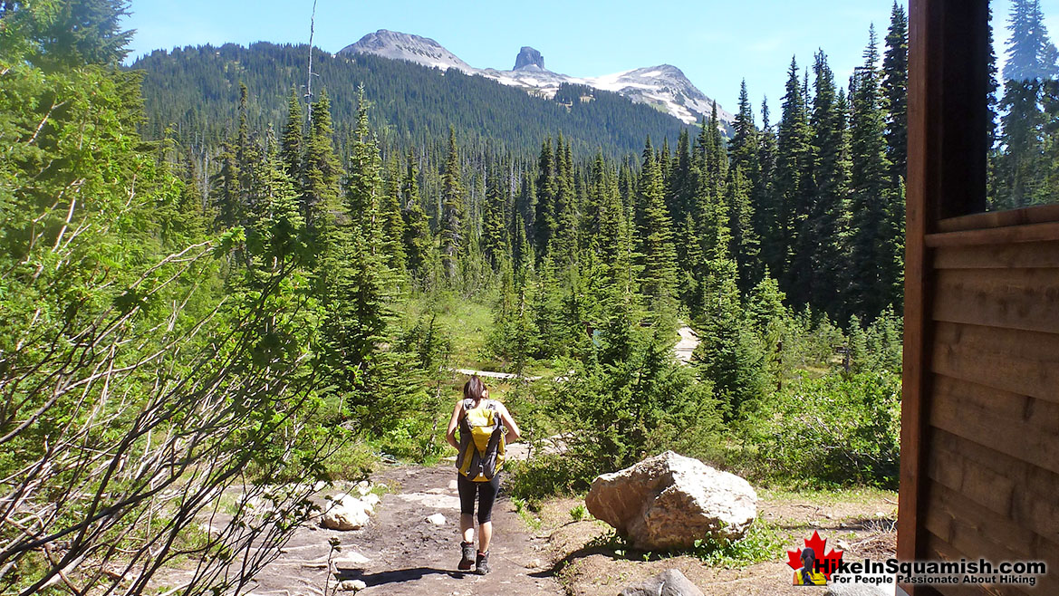 Taylor Meadows in Garibaldi Park