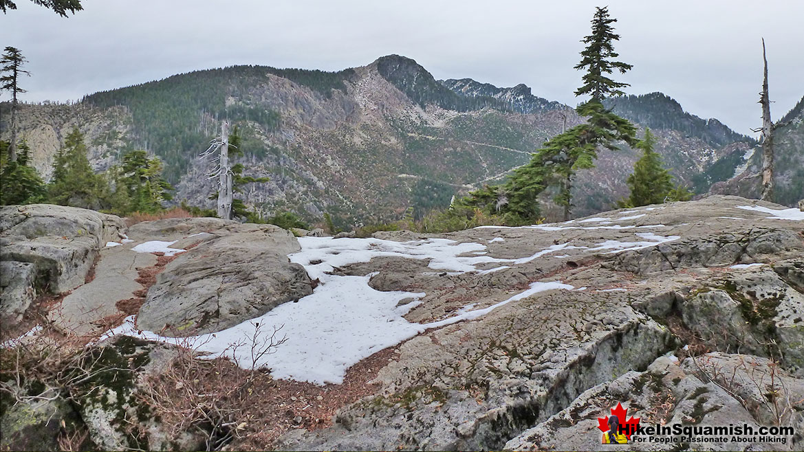 The Lions Trail