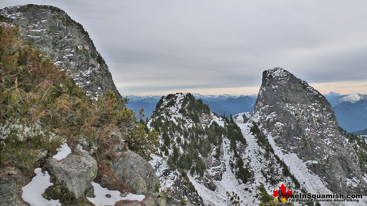 The Lions Trail