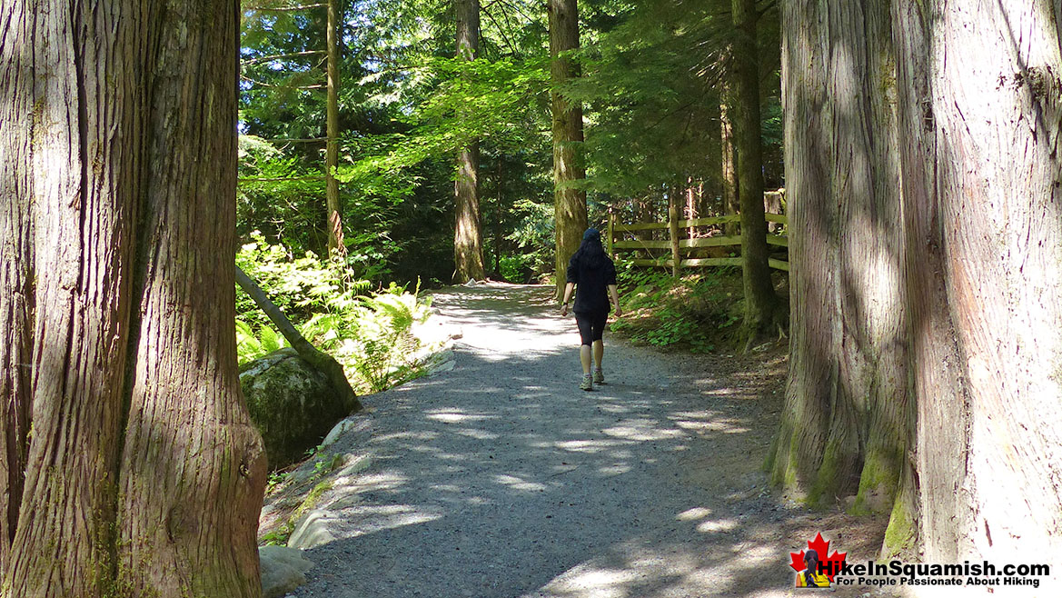 Shannon Falls Trail