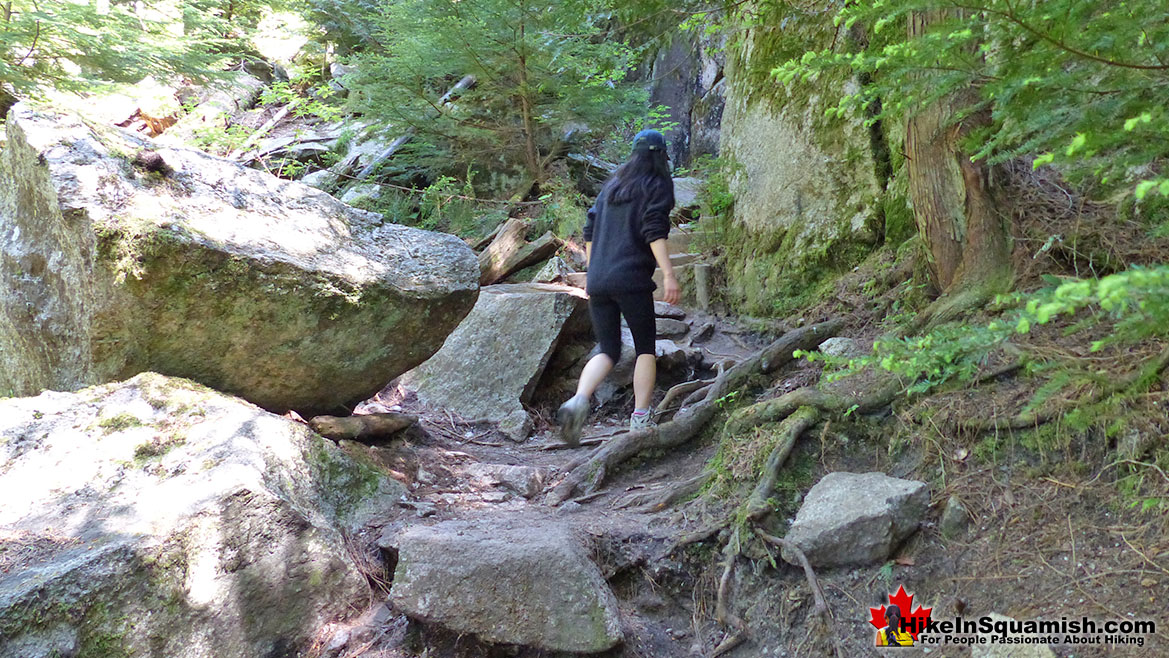 Connector Trail to Upper Shannon Falls Trail