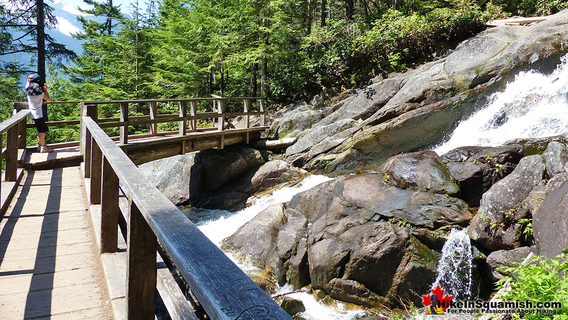 Connector Trail to Upper Shannon Falls Trail