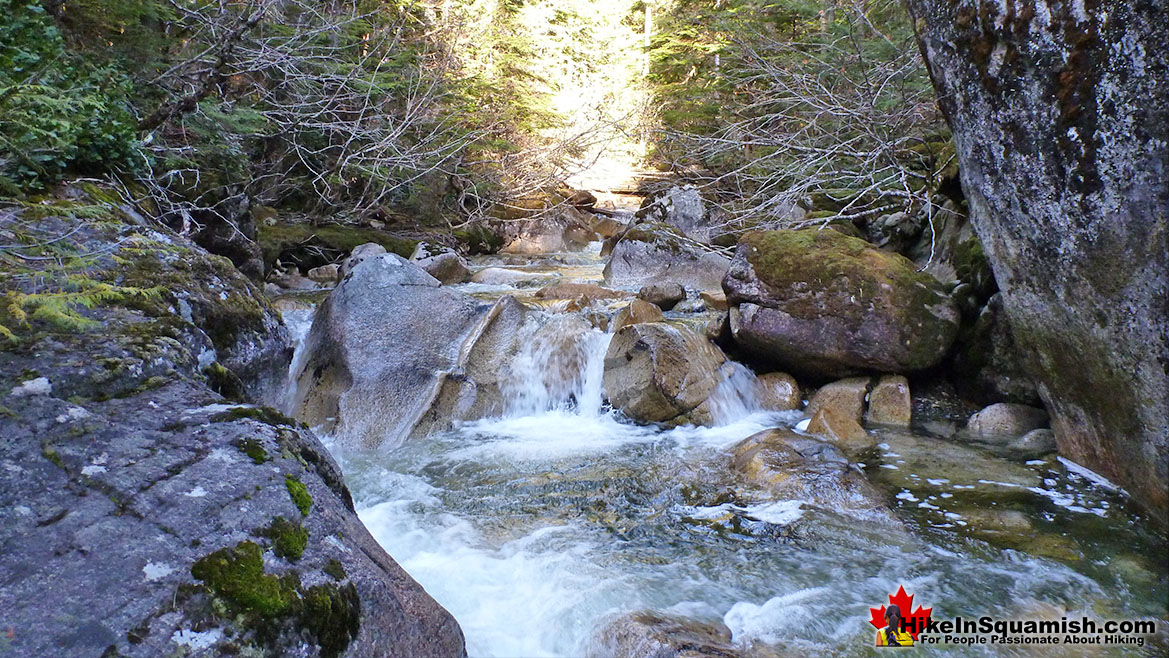 Upper Shannon Falls