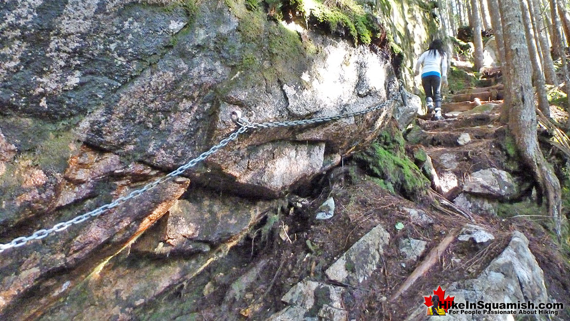 Upper Shannon Falls Trail