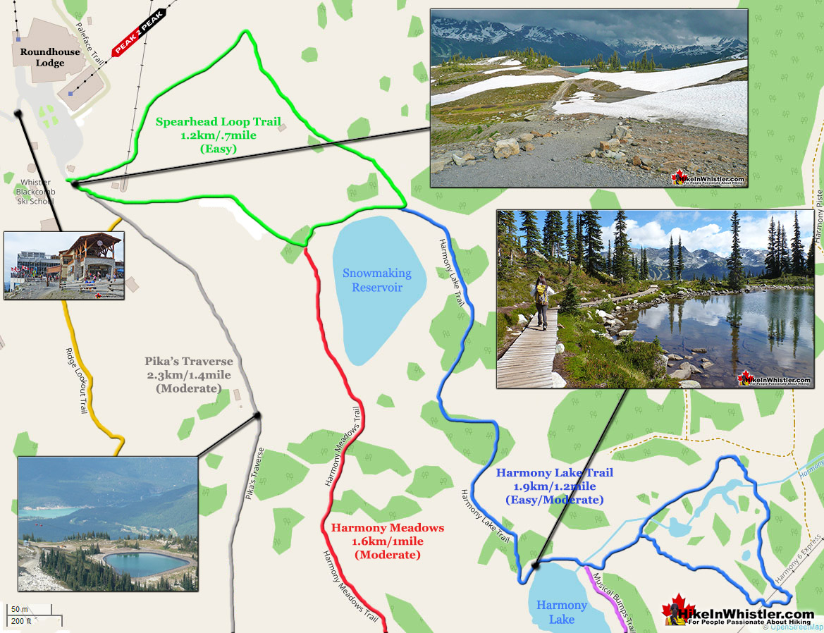 Whistler Mountain Short Trails